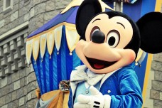 Disney World: Guide to Making Your Dreams Come True!